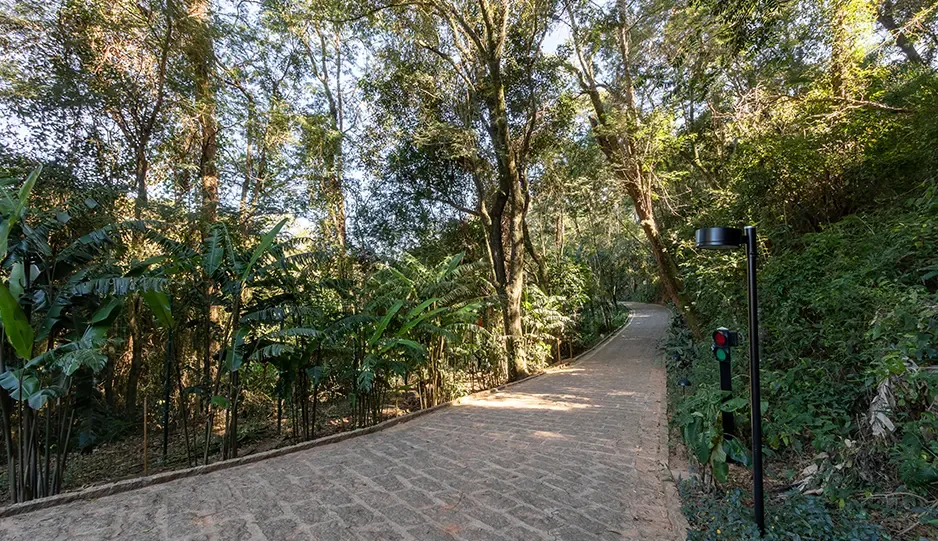 Jardim Atenas · imagem 16