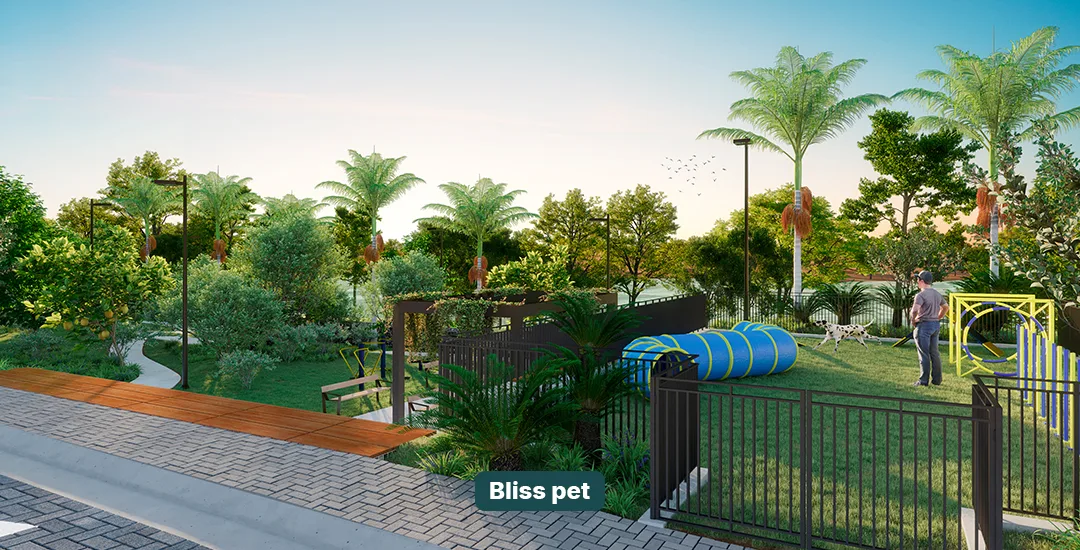 Bliss Lake · imagem 32