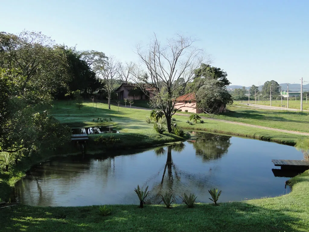 Quinta do Pinhal · imagem 7