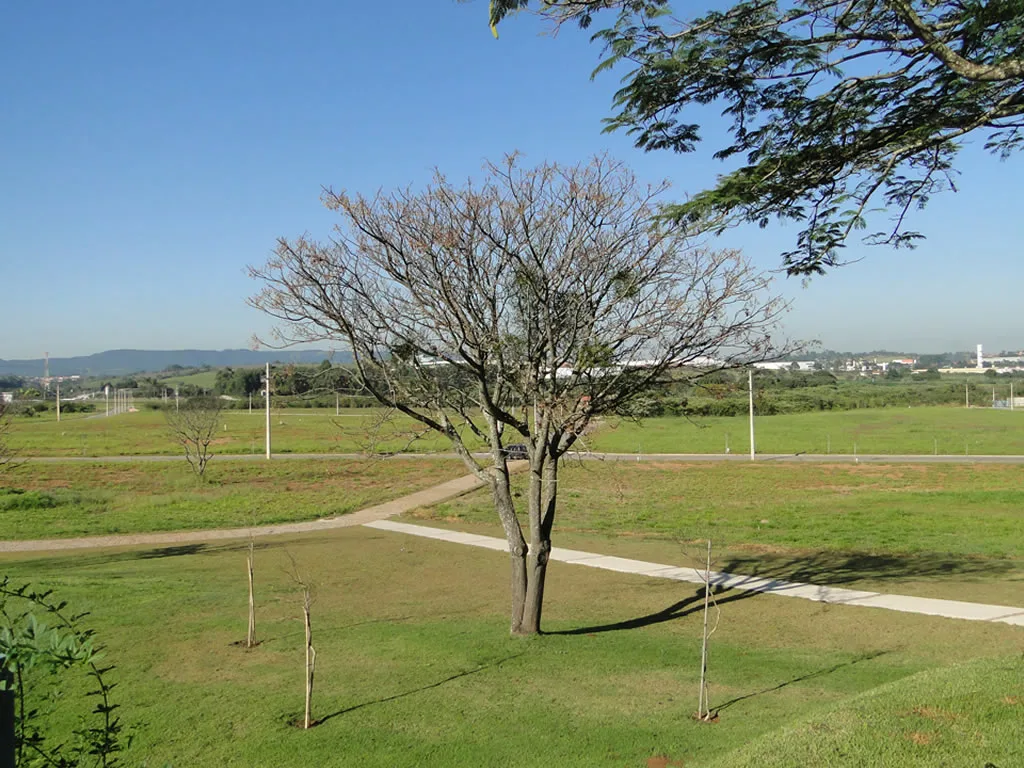 Quinta do Pinhal · imagem 8