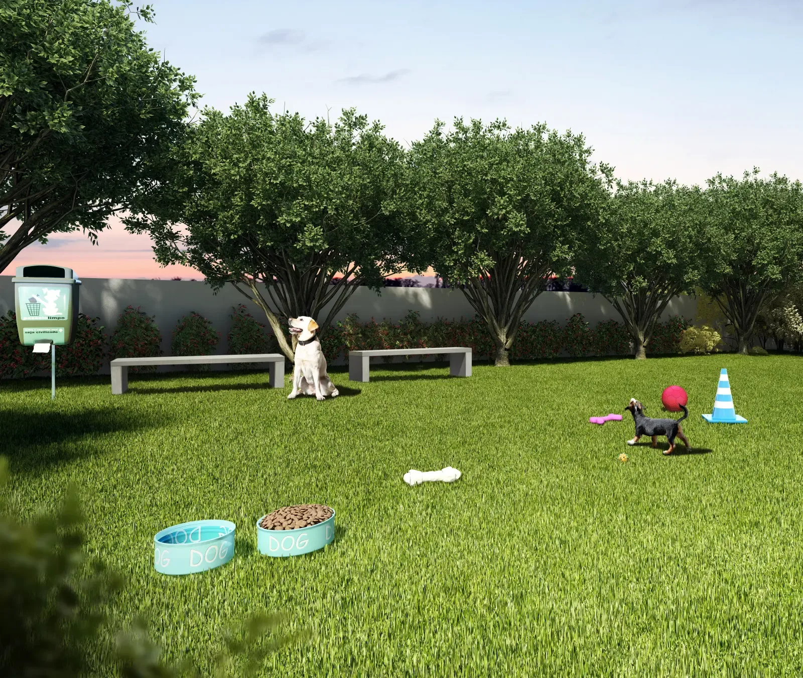 Pop Granja · imagem 13