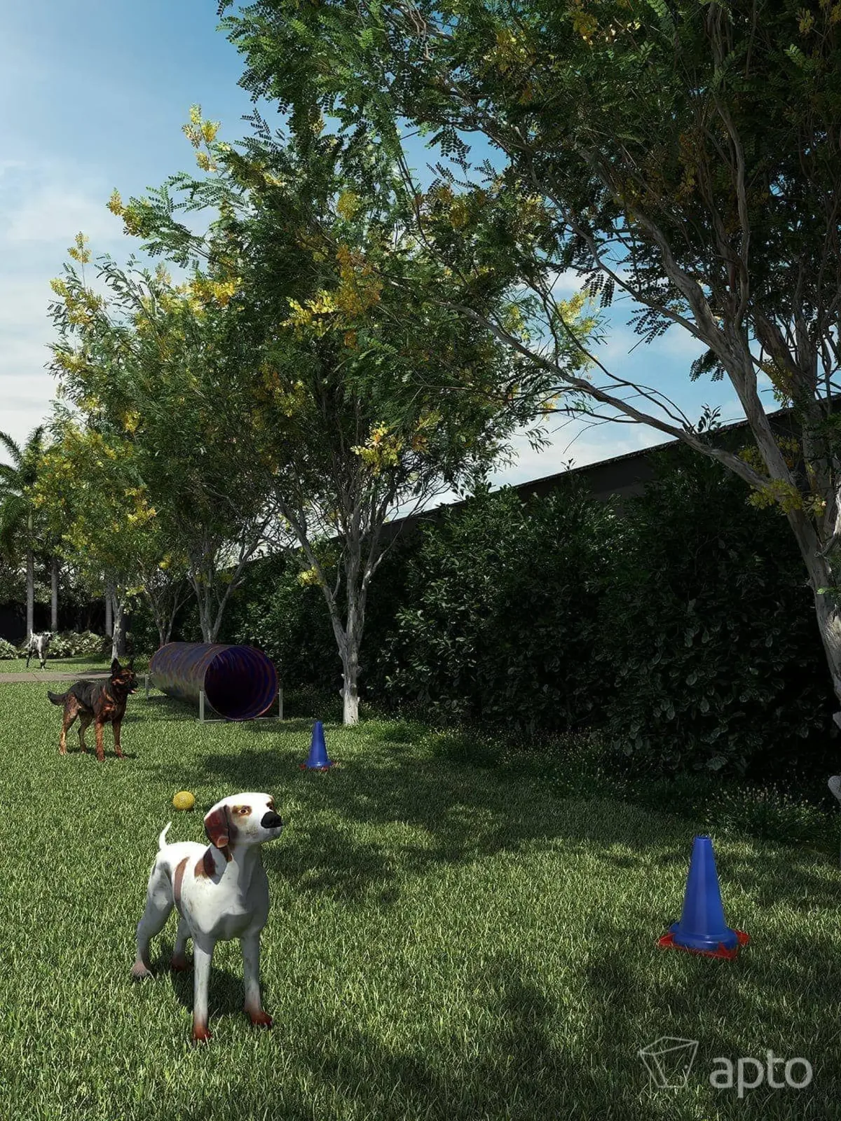 DUQ Central Houses · imagem 15