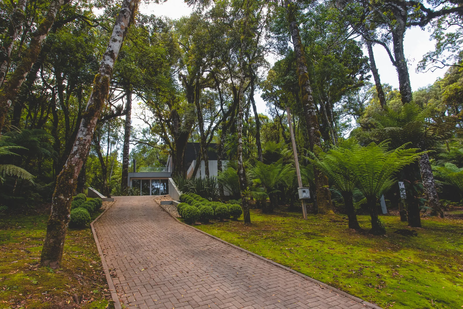 Casas do Bosque · imagem 2