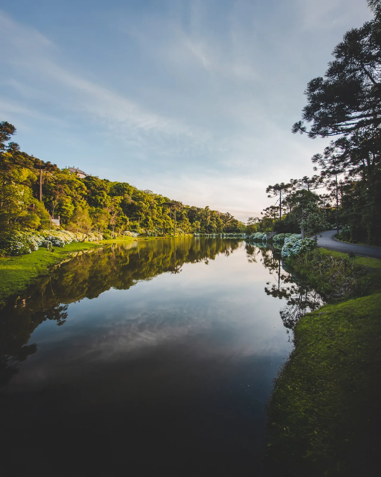 Casas do Bosque · imagem 5