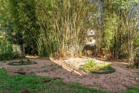 Condomínio Vista Nobre Pedra Redonda · imagem 66