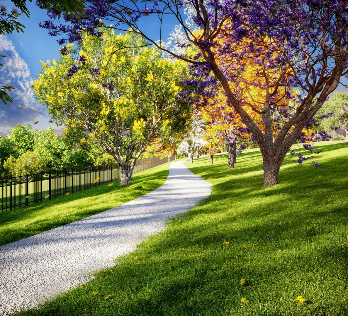Vinhas Flamboyant · imagem 12