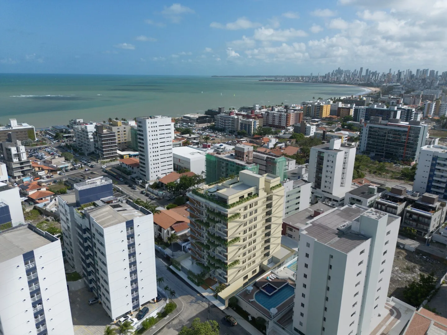 Domi Oceania · imagem 22