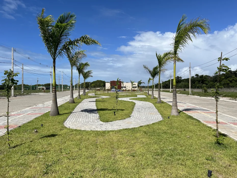 Bosque do Sol · imagem 6