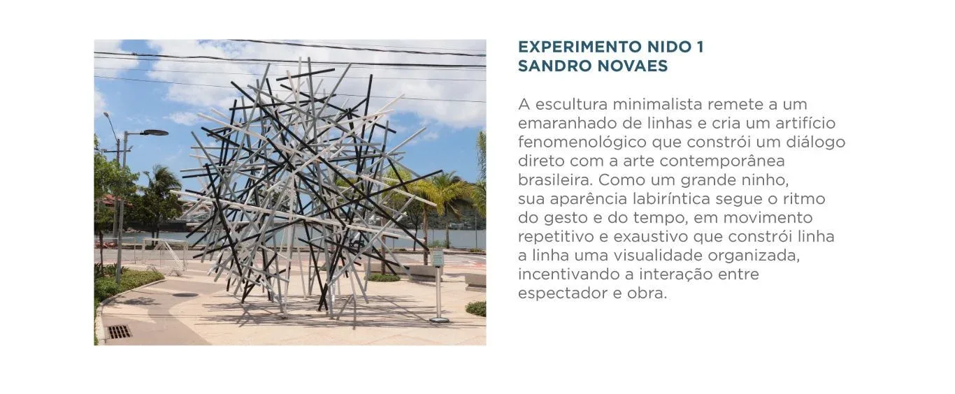 Experimento Nido 1