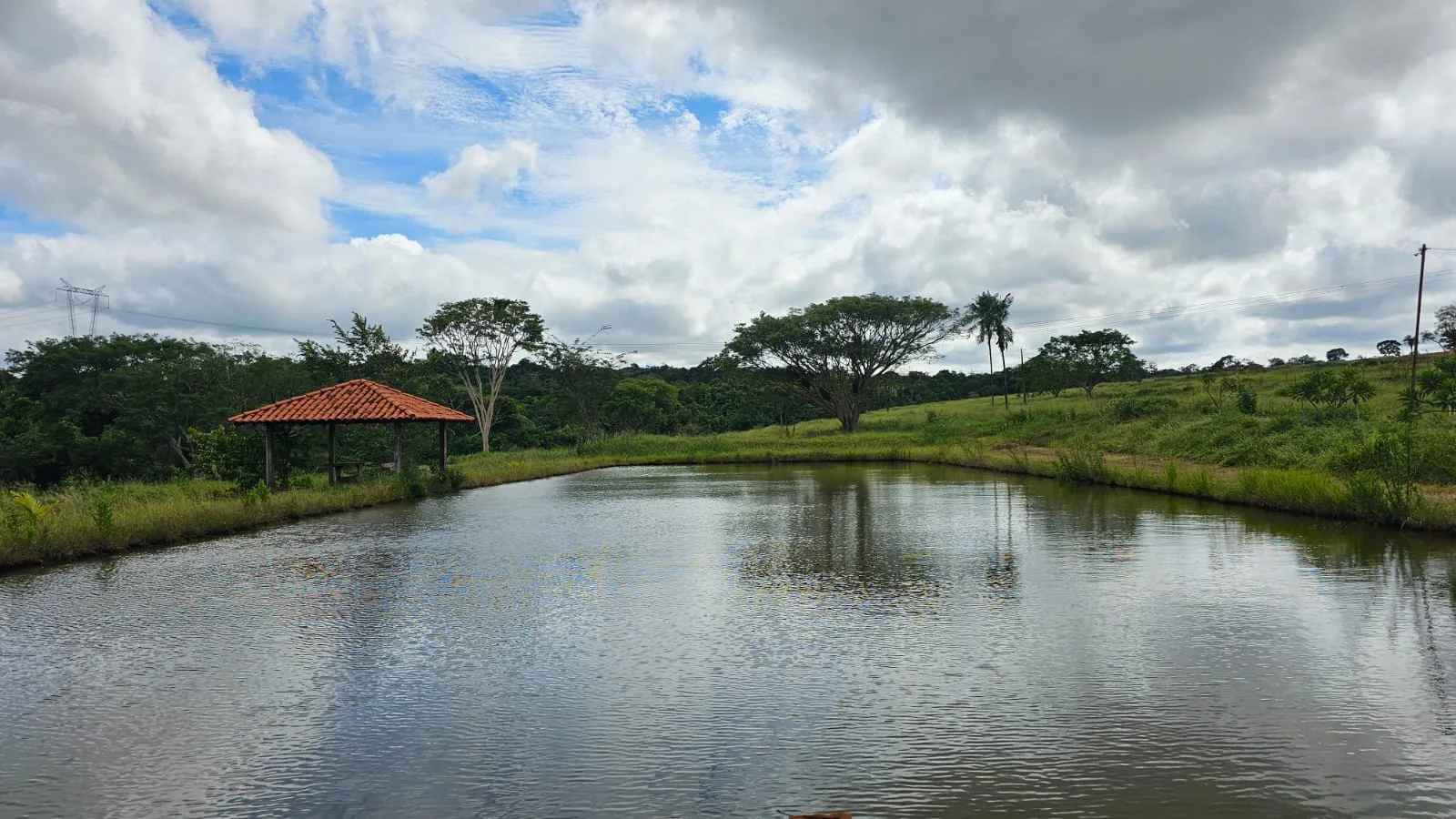 Park dos Cedros · imagem 29