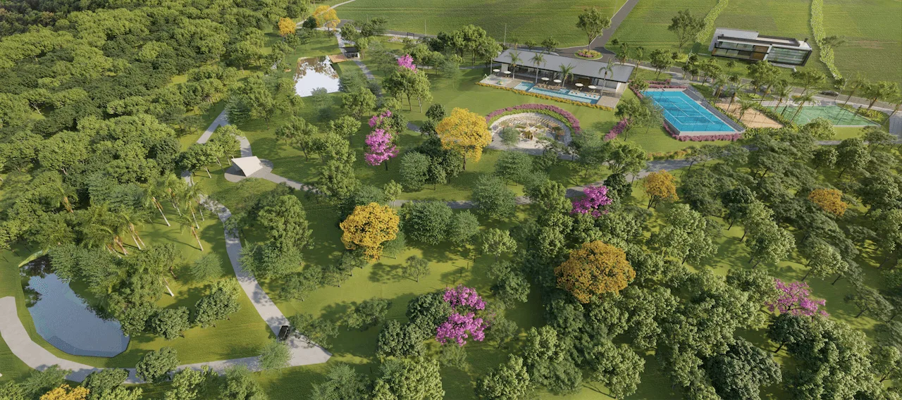 Park dos Cedros · imagem 4